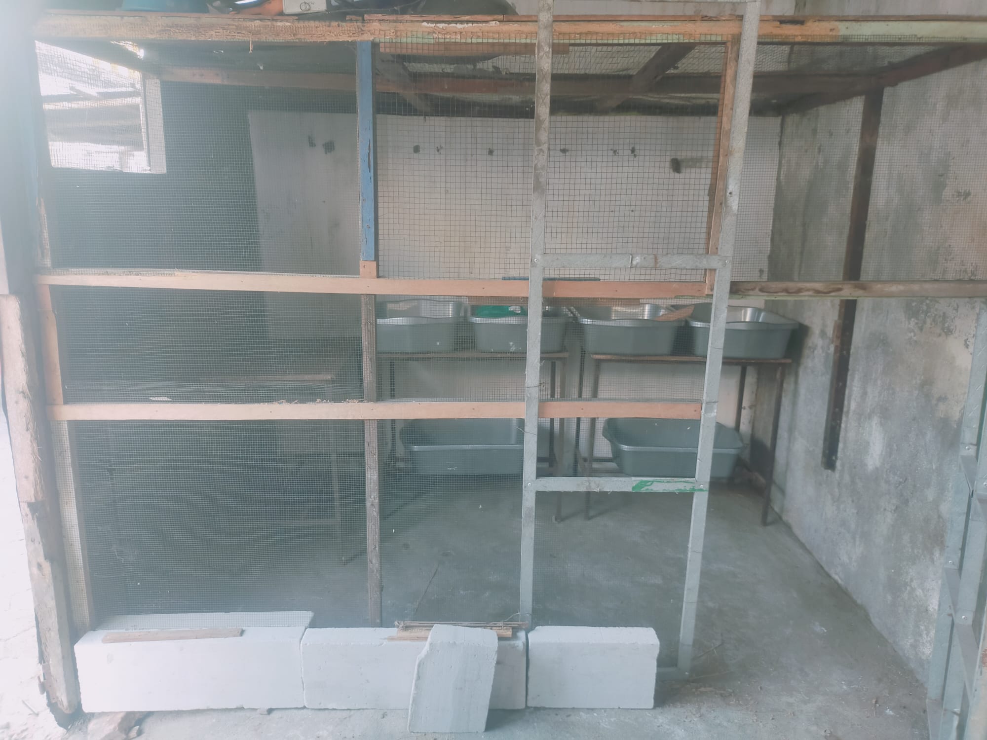 Kegiatan Bank Sampah 3